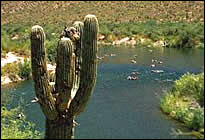 Arizona MCSE Boot Camps
